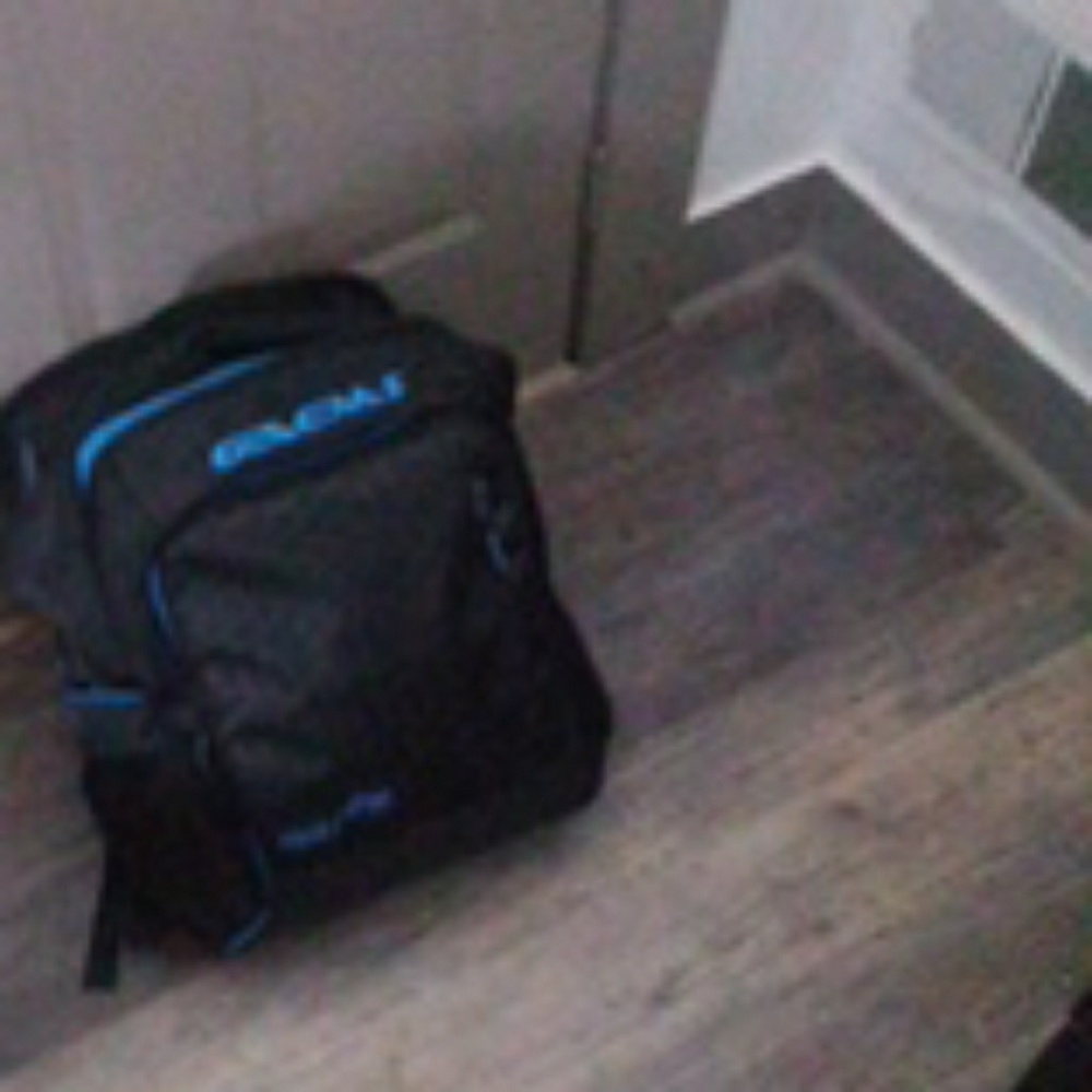 Xbox travel bag